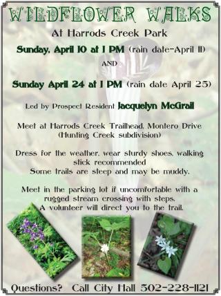 Wild Flower Walks Return