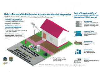Debris Removal Guidelines